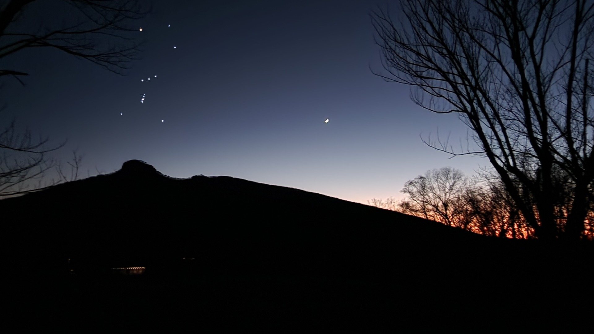 Orion in a dark, star-filled sky above a treeline at night